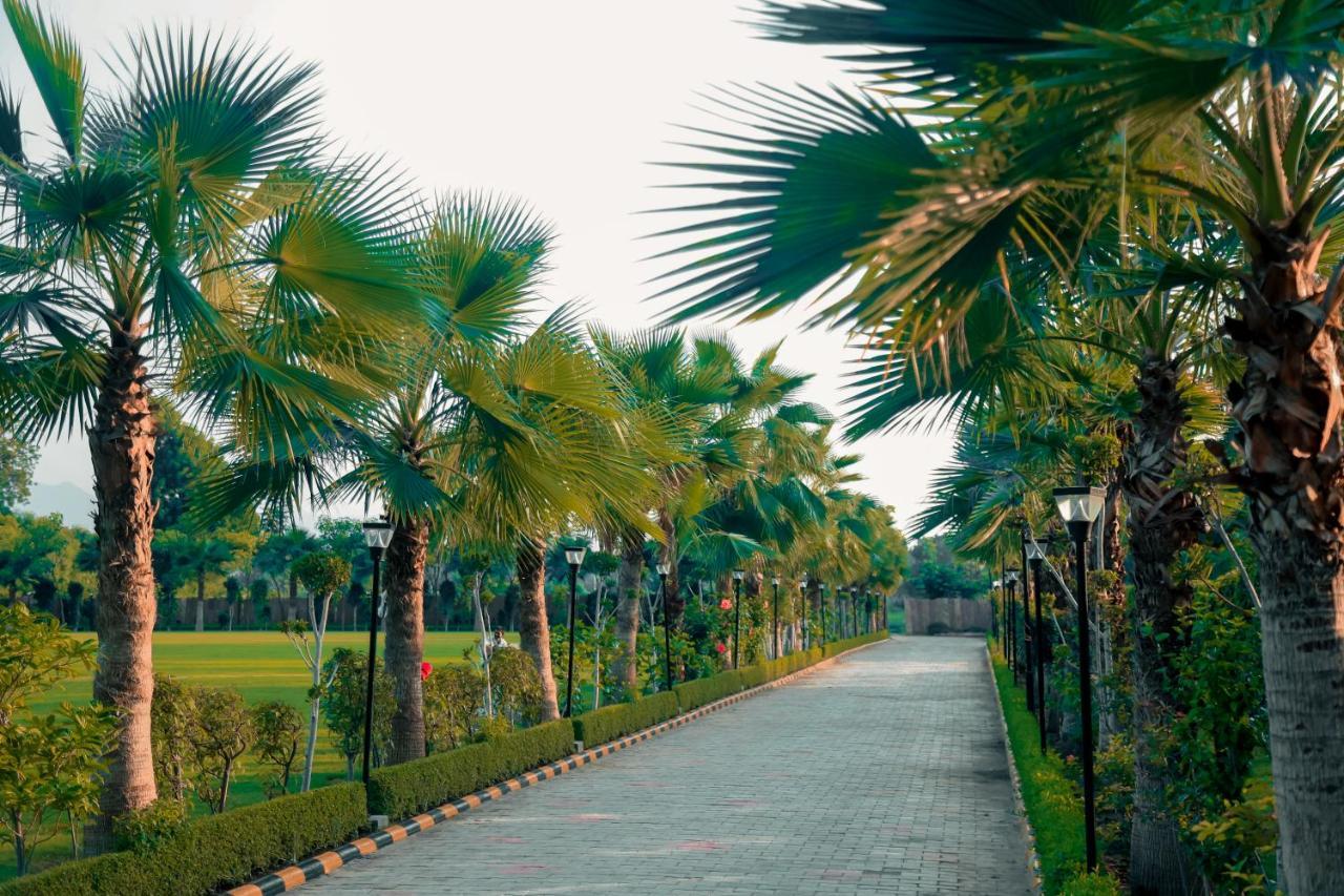 Pride Resort & Convention Center Ranakpur Near Ranakpur Dam Sādri 외부 사진