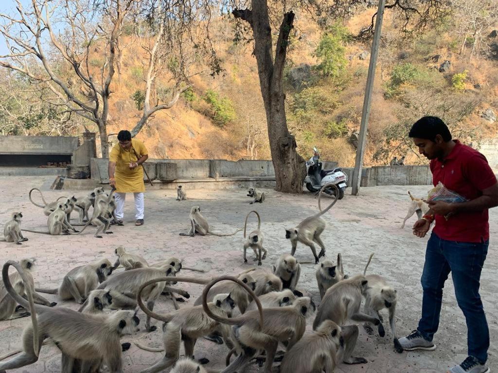 Pride Resort & Convention Center Ranakpur Near Ranakpur Dam Sādri 외부 사진